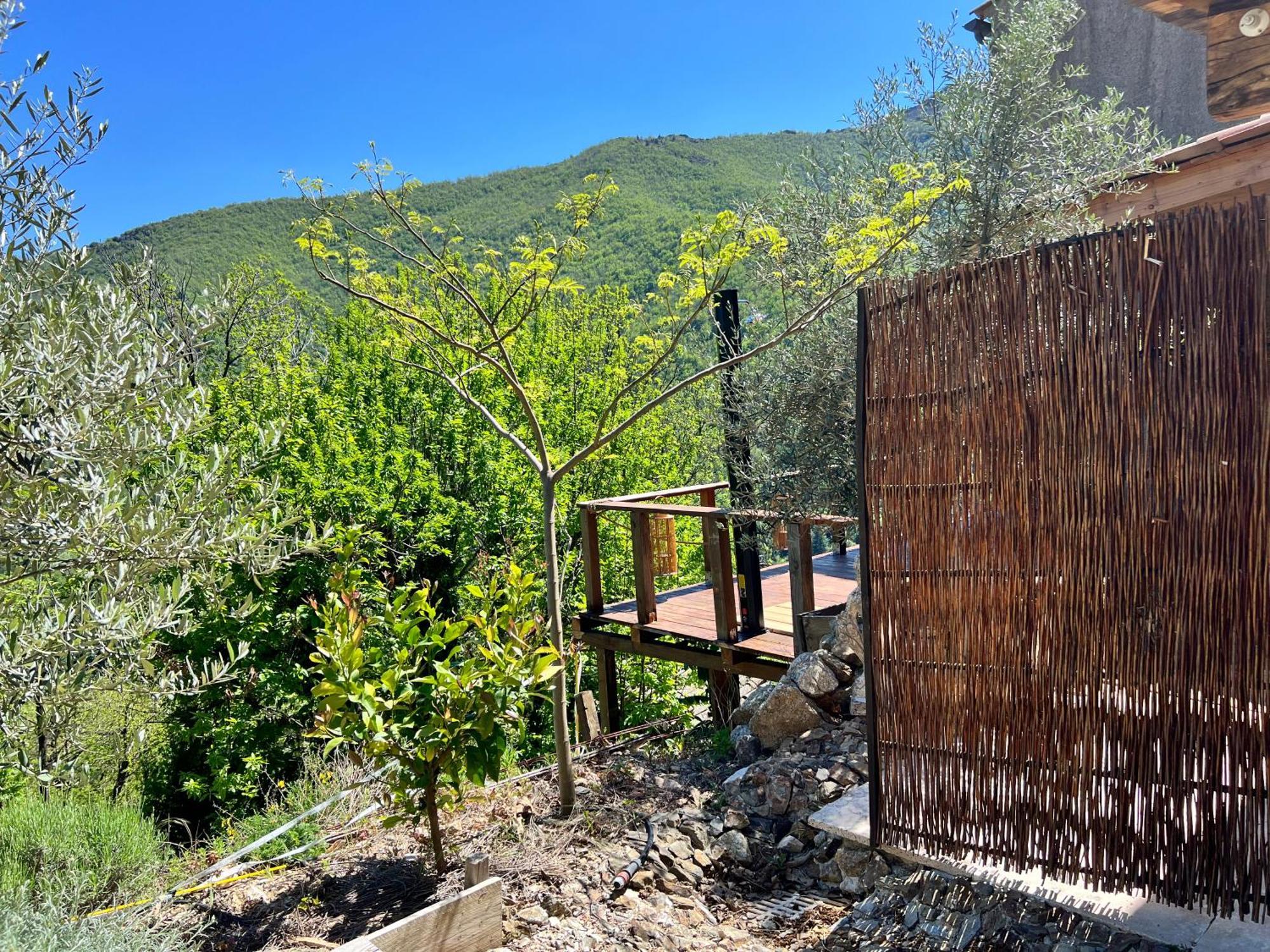 Les Magnels Bed and Breakfast Valleraugue Rum bild